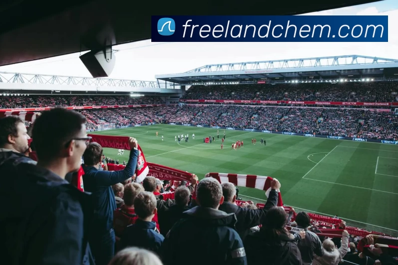 九游体育全站App